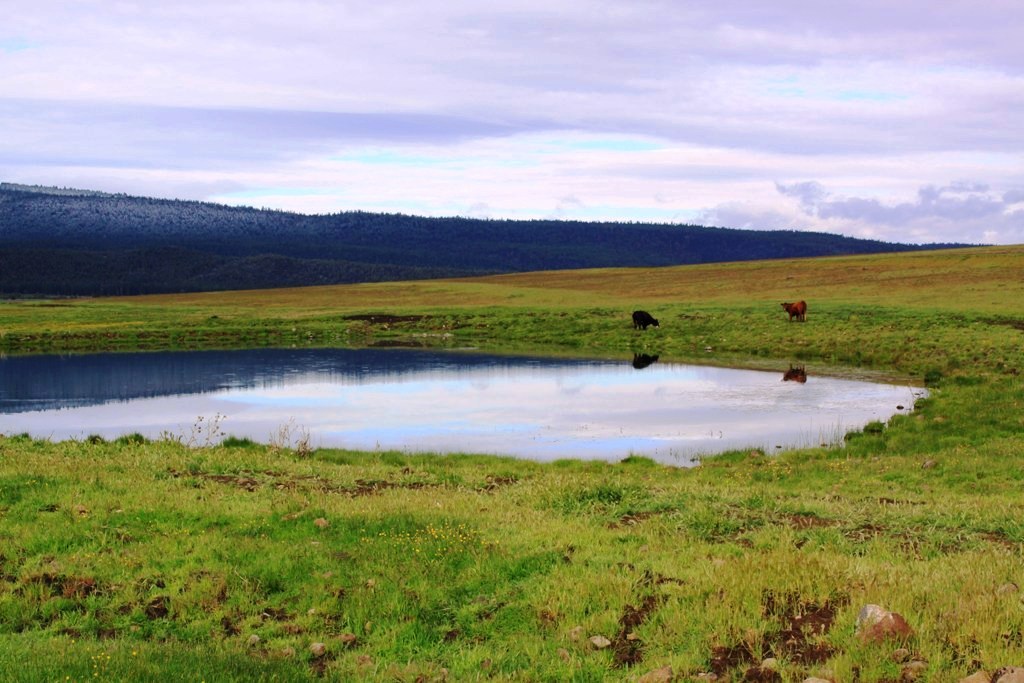 663-150 Dixie Ranch Road McArthur, CA 96056 - Photo 31 of 40 a view of a lake