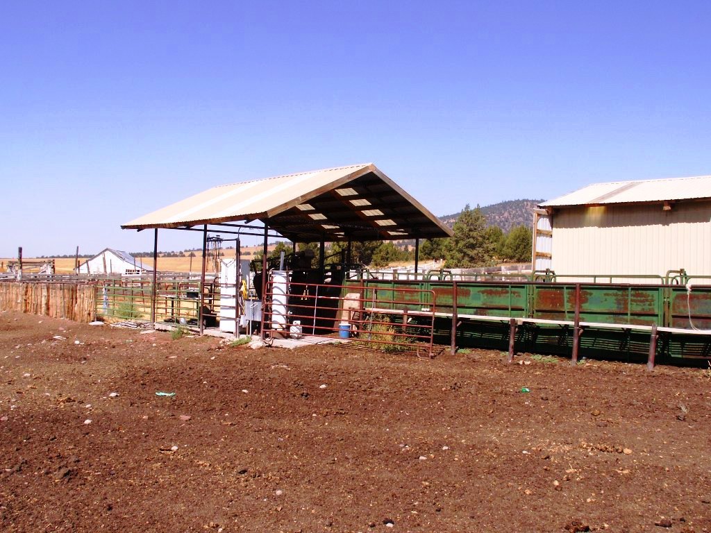 663-150 Dixie Ranch Road McArthur, CA 96056 - Photo 32 of 40 a view of a outdoor space with a lake view