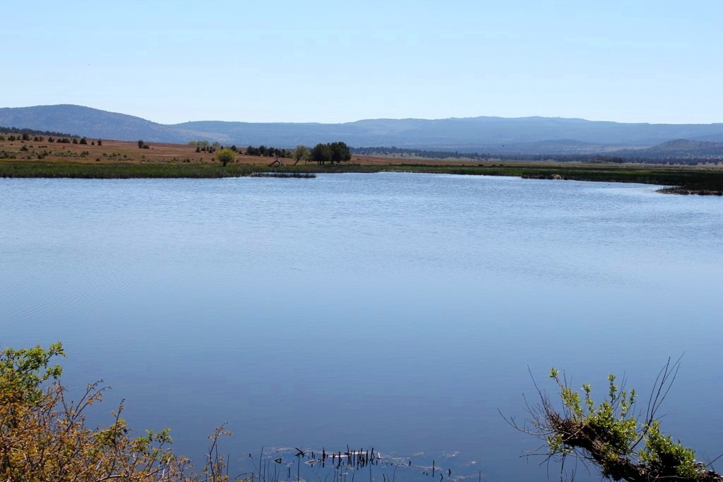 663-150 Dixie Ranch Road McArthur, CA 96056 - Photo 34 of 40 a view of lake and mountain