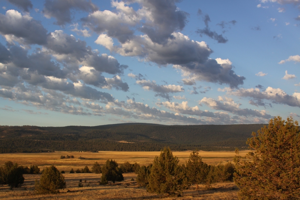 663-150 Dixie Ranch Road McArthur, CA 96056 - Photo 35 of 40 a view of a city