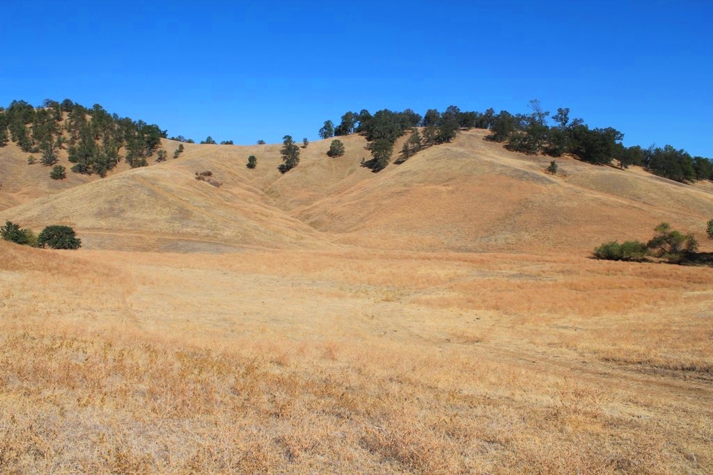 663-150 Dixie Ranch Road McArthur, CA 96056 - Photo 39 of 40 a view of a ocean beach