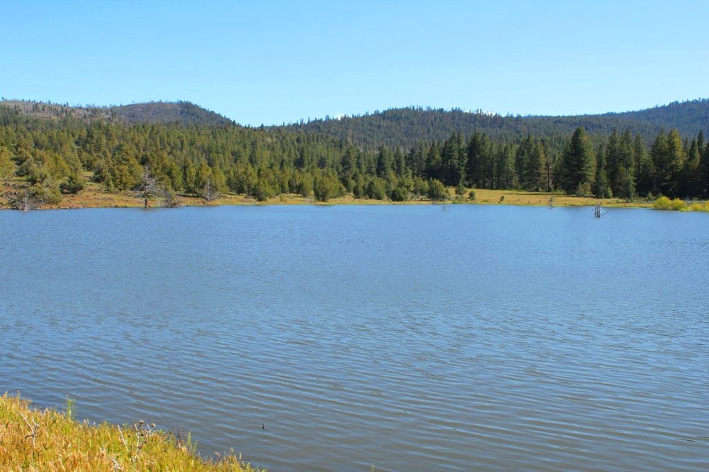 663-150 Dixie Ranch Road McArthur, CA 96056 - Photo 9 of 40 a view of lake and mountain