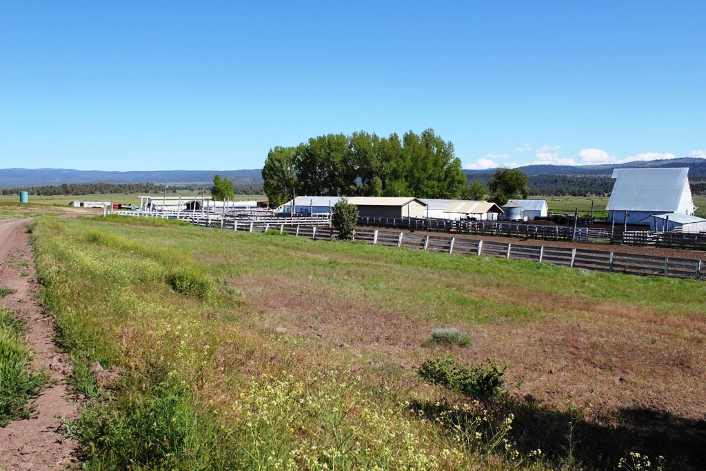 663-150 Dixie Ranch Road McArthur, CA 96056 - Photo 10 of 40 a view of a chair and table on the terrace