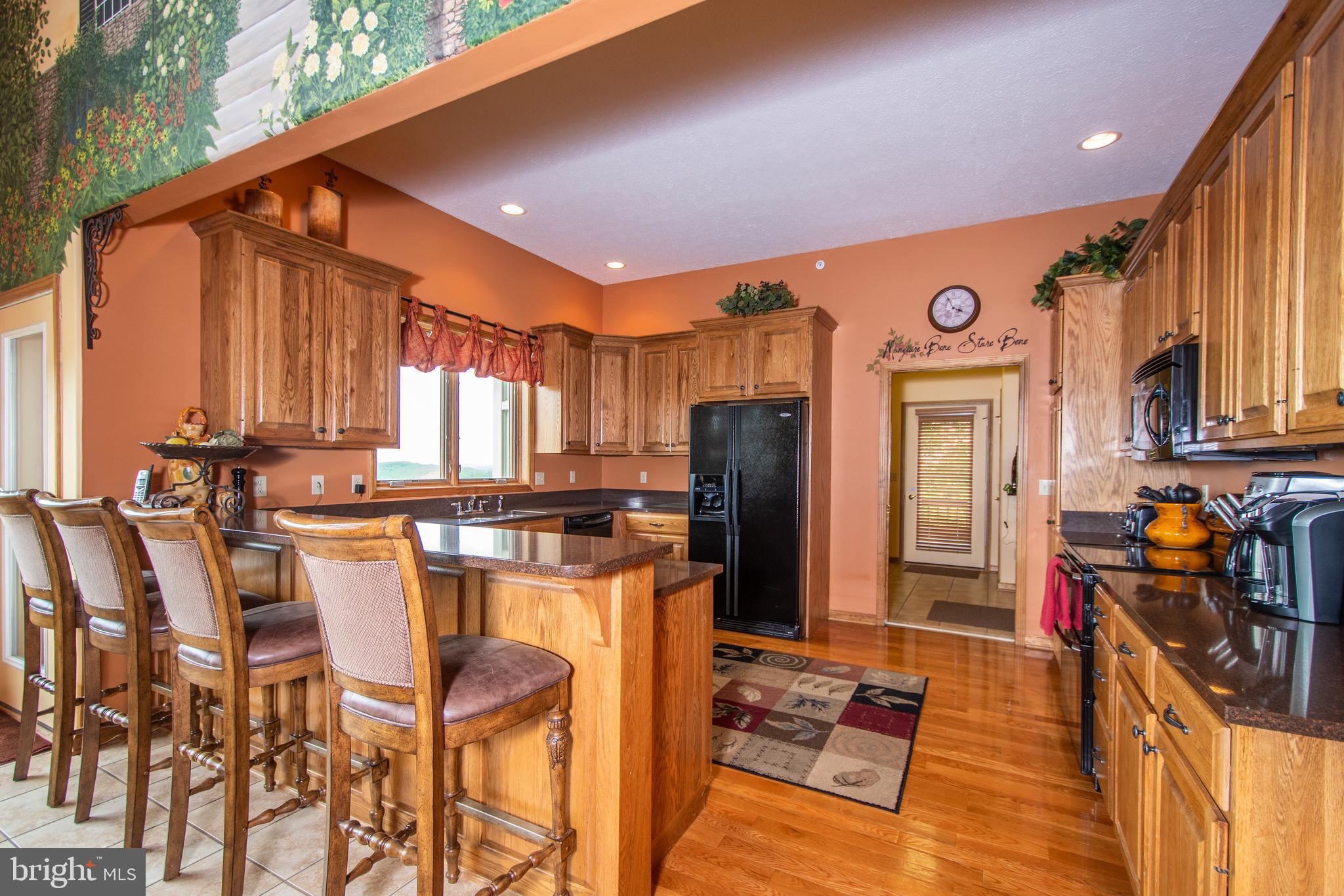 758 Wisp Mountain Road, Unit 9A McHenry, MD 21541 - Photo 19 of 42