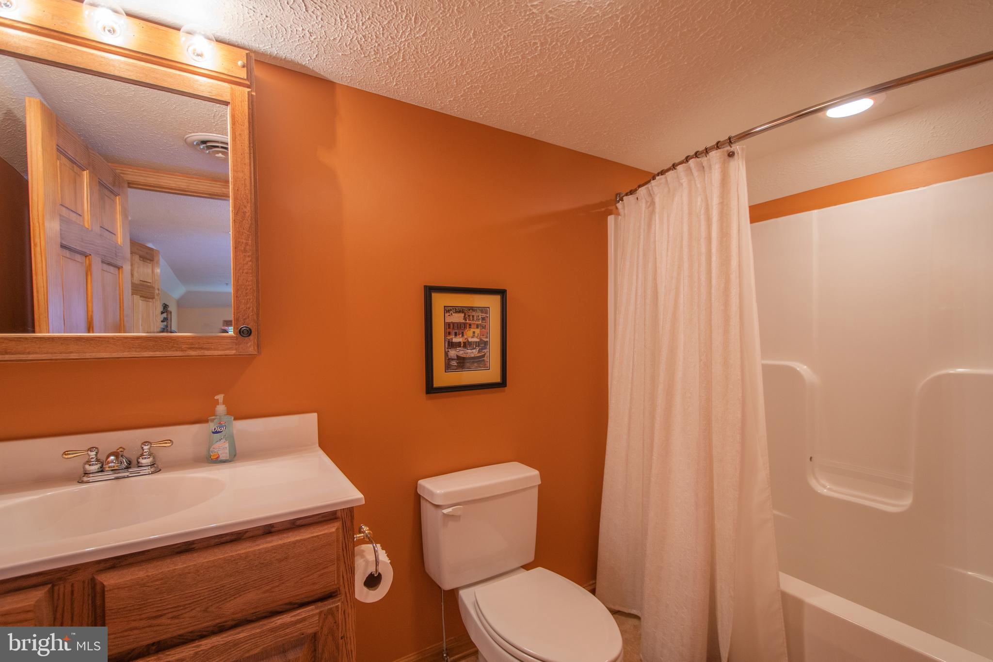 758 Wisp Mountain Road, Unit 9A McHenry, MD 21541 - Photo 39 of 42