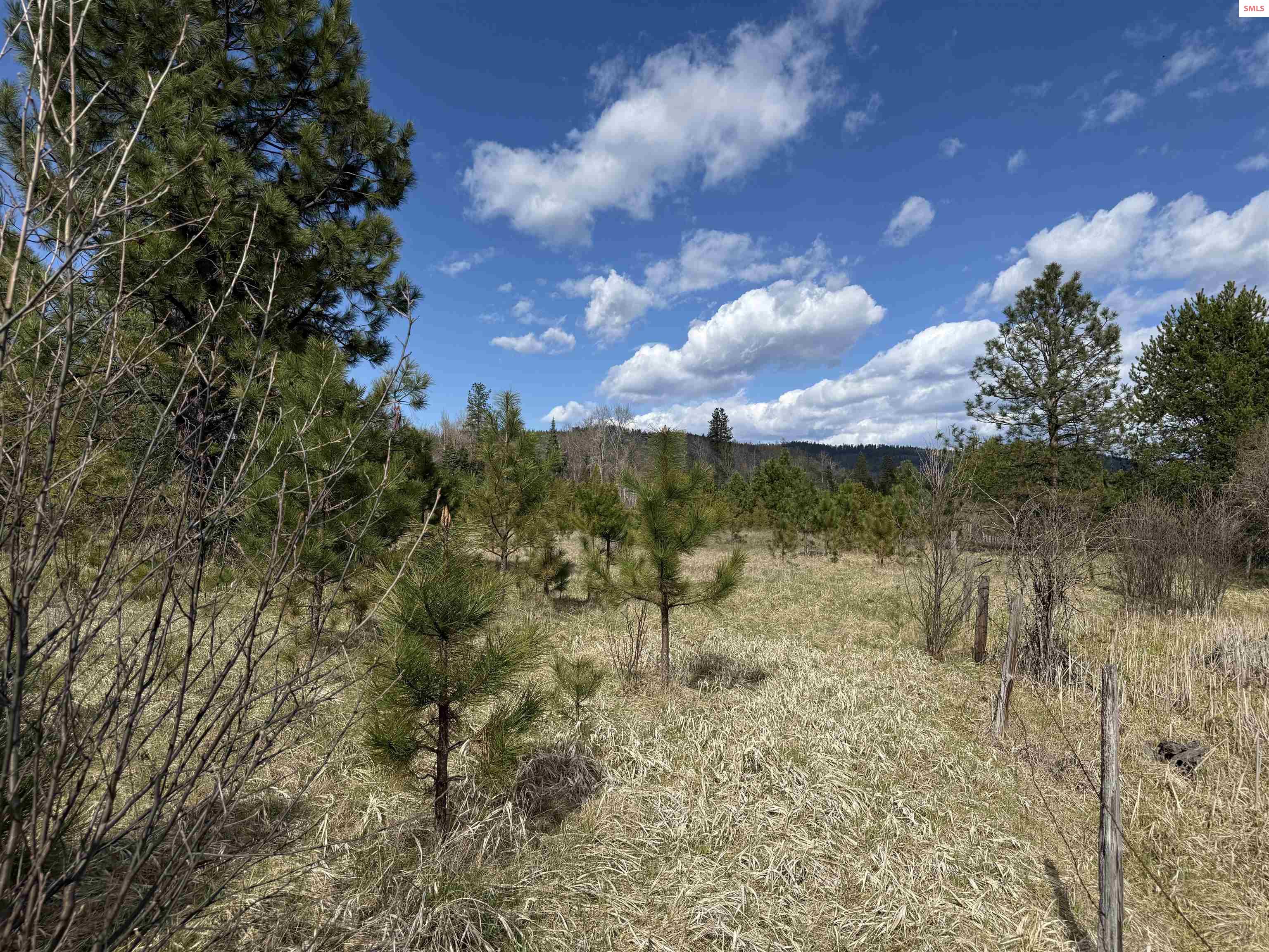 3216 Dufort Road Sagle, ID 83860 - Photo 20 of 95