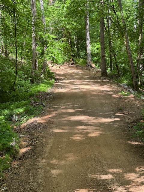 455 Moss Spring Hollow Road Centerville, TN 37033 - Photo 11 of 13 a view of a yard with large trees