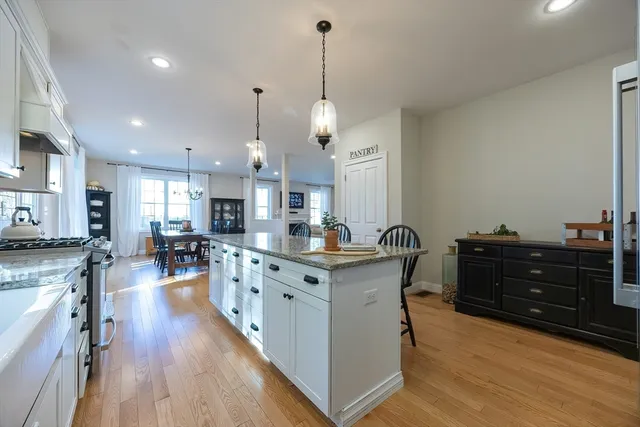 a living room with furniture flowerpot and wooden floor