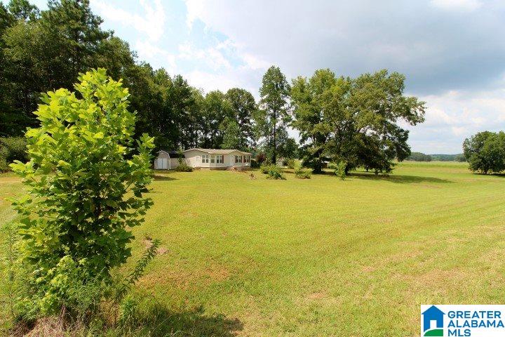 4105 Curry Station Road Munford, AL 36268 - Photo 38 of 39