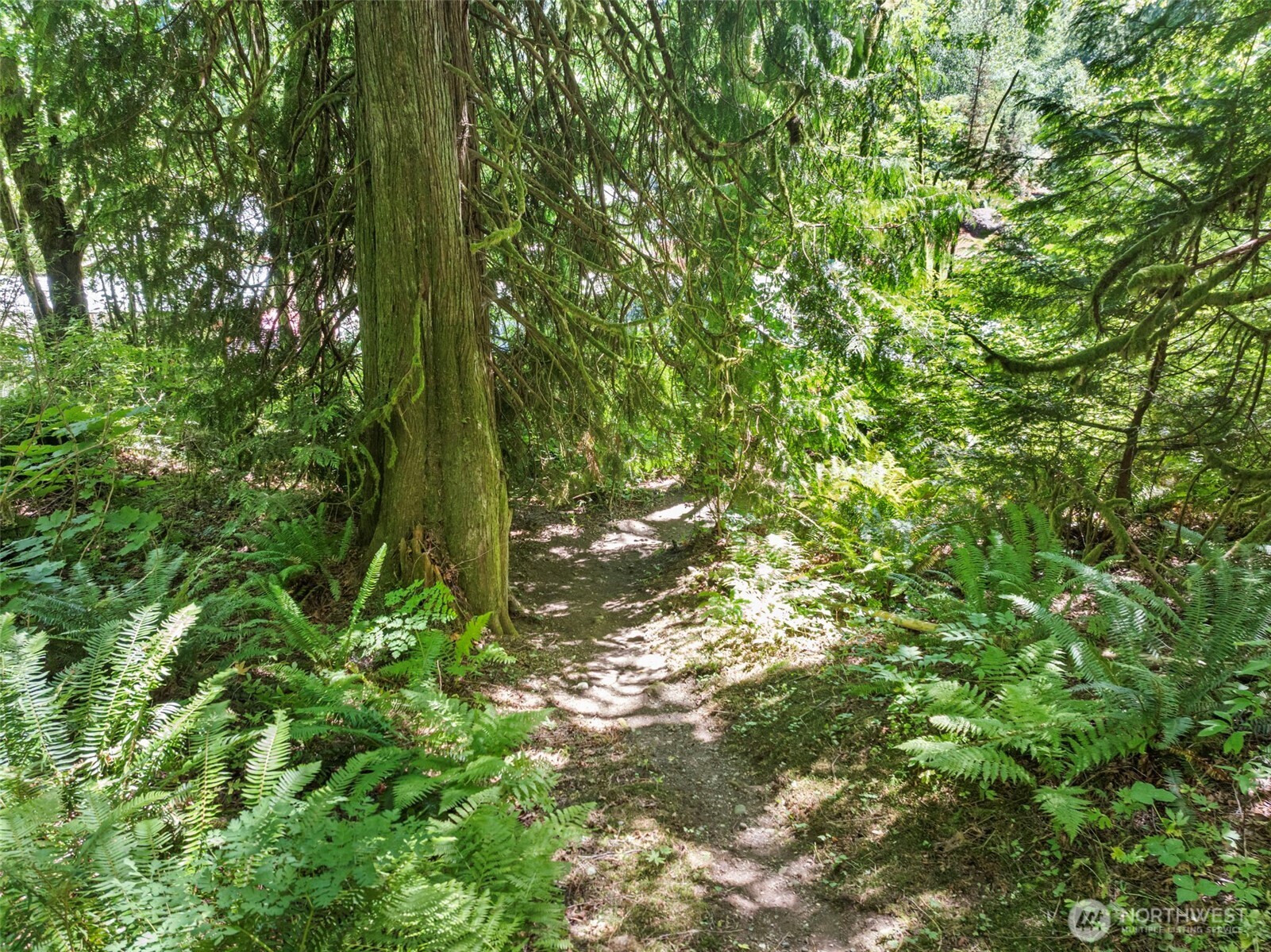 17401 Renton-Maple Valley Road Maple Valley, WA 98038 - Photo 35 of 40