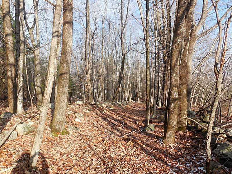 938 Edes Falls Road Harrison, ME 04040 - Photo 4 of 29 Land. Wooded site with 9.6 acres.