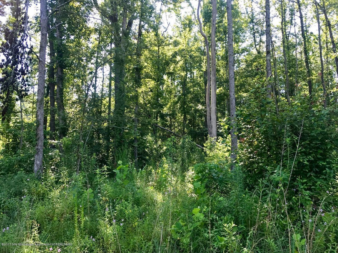 320 Kathleen Road Byhalia, MS 38611 - Photo 2 of 12 IMG_1488