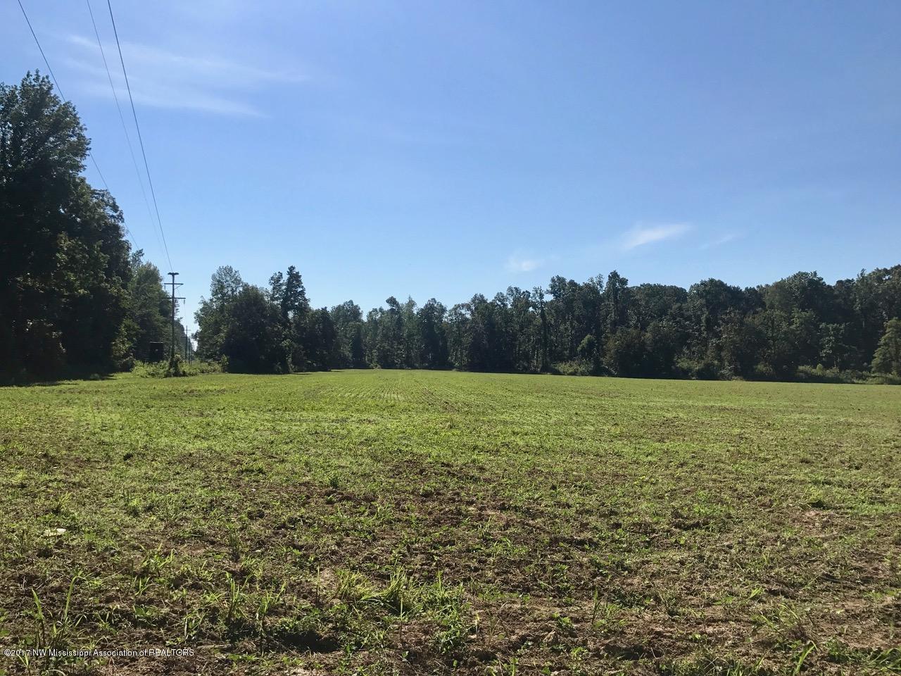 320 Kathleen Road Byhalia, MS 38611 - Photo 3 of 12 IMG_1493
