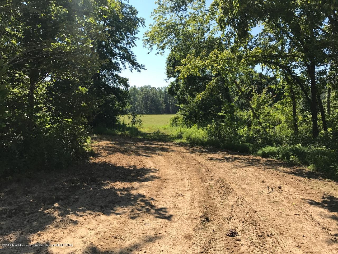 320 Kathleen Road Byhalia, MS 38611 - Photo 10 of 12 IMG_1523