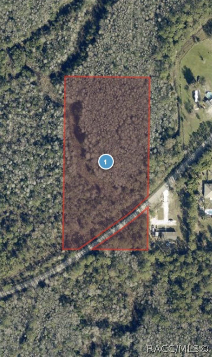 Tbd Oil Well Road Clermont, FL 34714 - Photo 5 of 5 Gallery Image 5