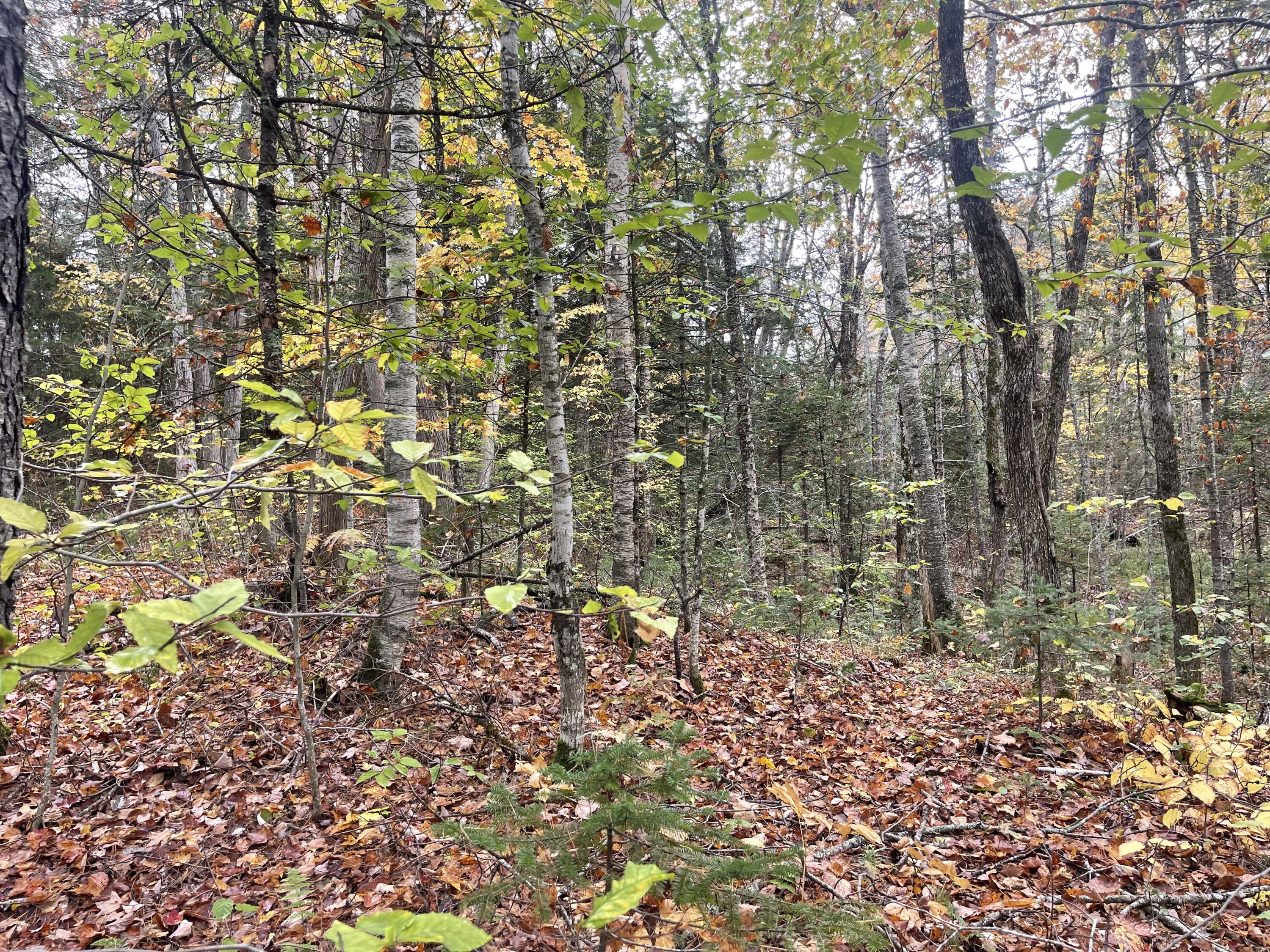 0 West Road Solon, ME 04979 - Photo 4 of 12 IMG_3259