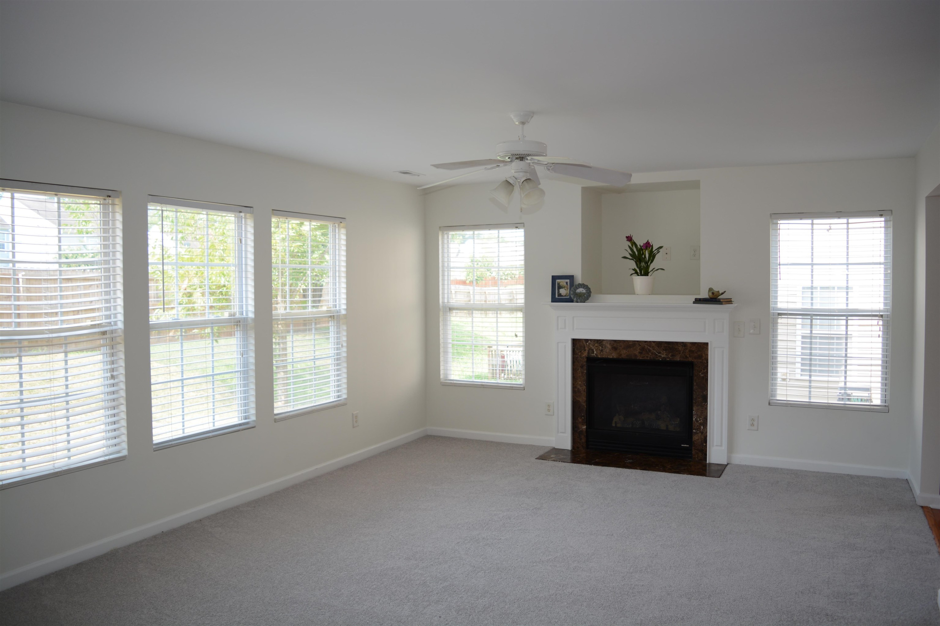 3768 Horseshoe Farm Street Raleigh, NC 27610 - Photo 3 of 13 Photo 3