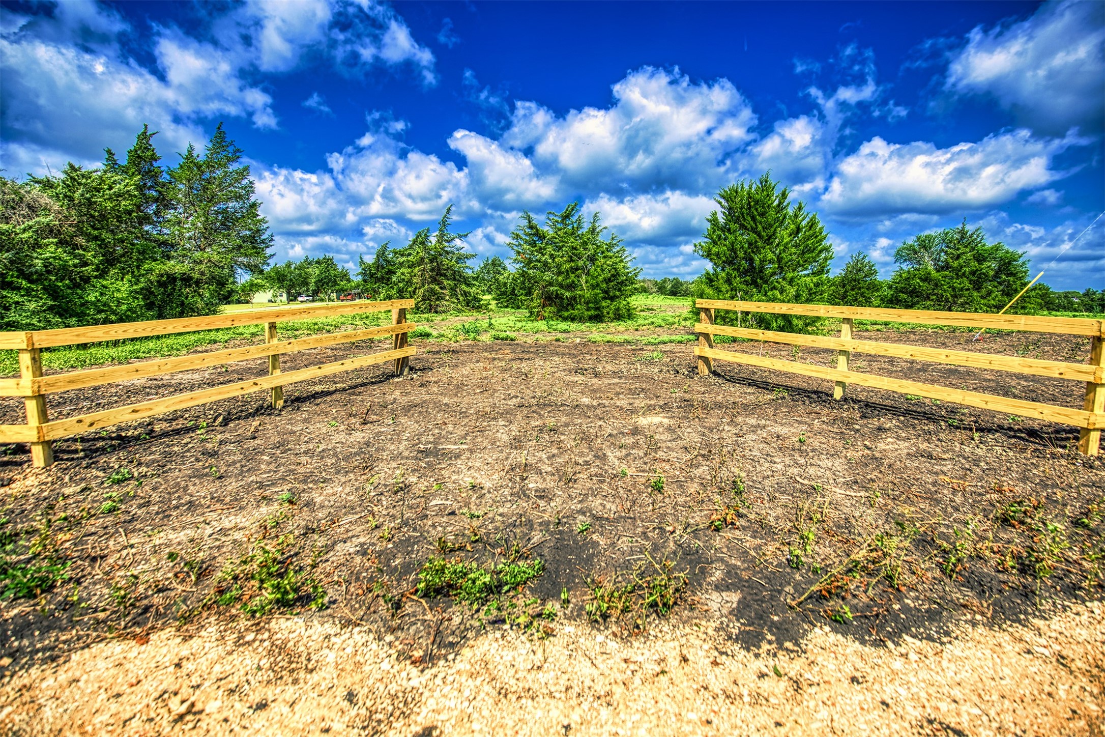Lot 4 Wonder Hill Road Chappell Hill, TX 77426 - Photo 4 of 17 a view of an outdoor space and a yard
