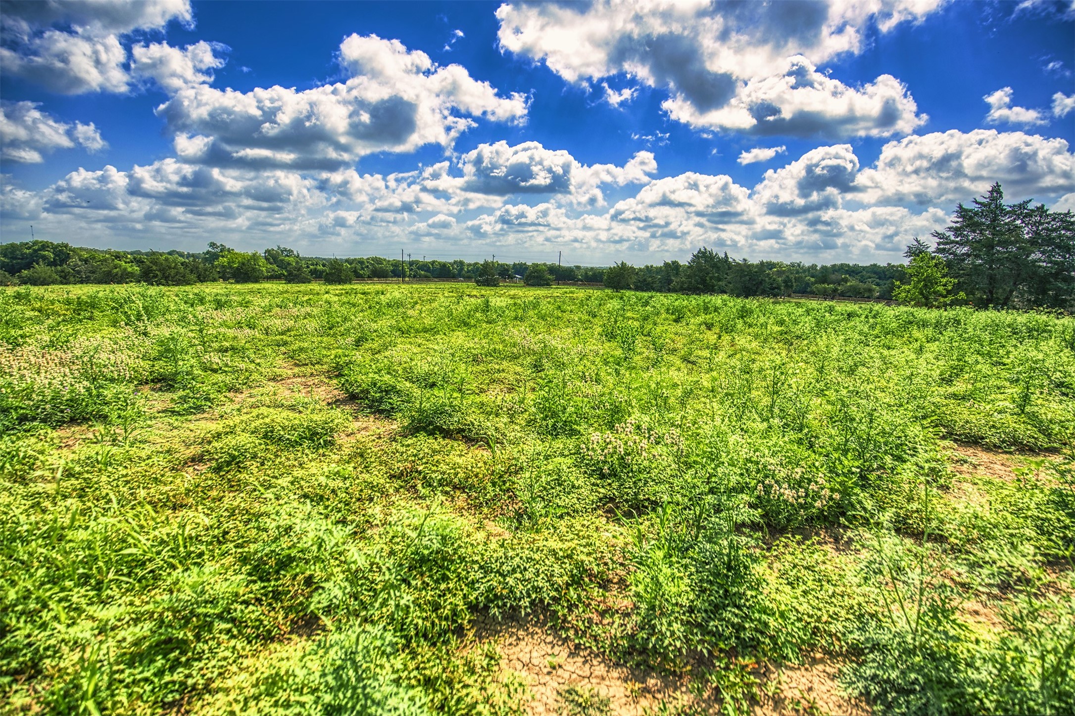 Lot 4 Wonder Hill Road Chappell Hill, TX 77426 - Photo 8 of 17 a view of a lake with houses