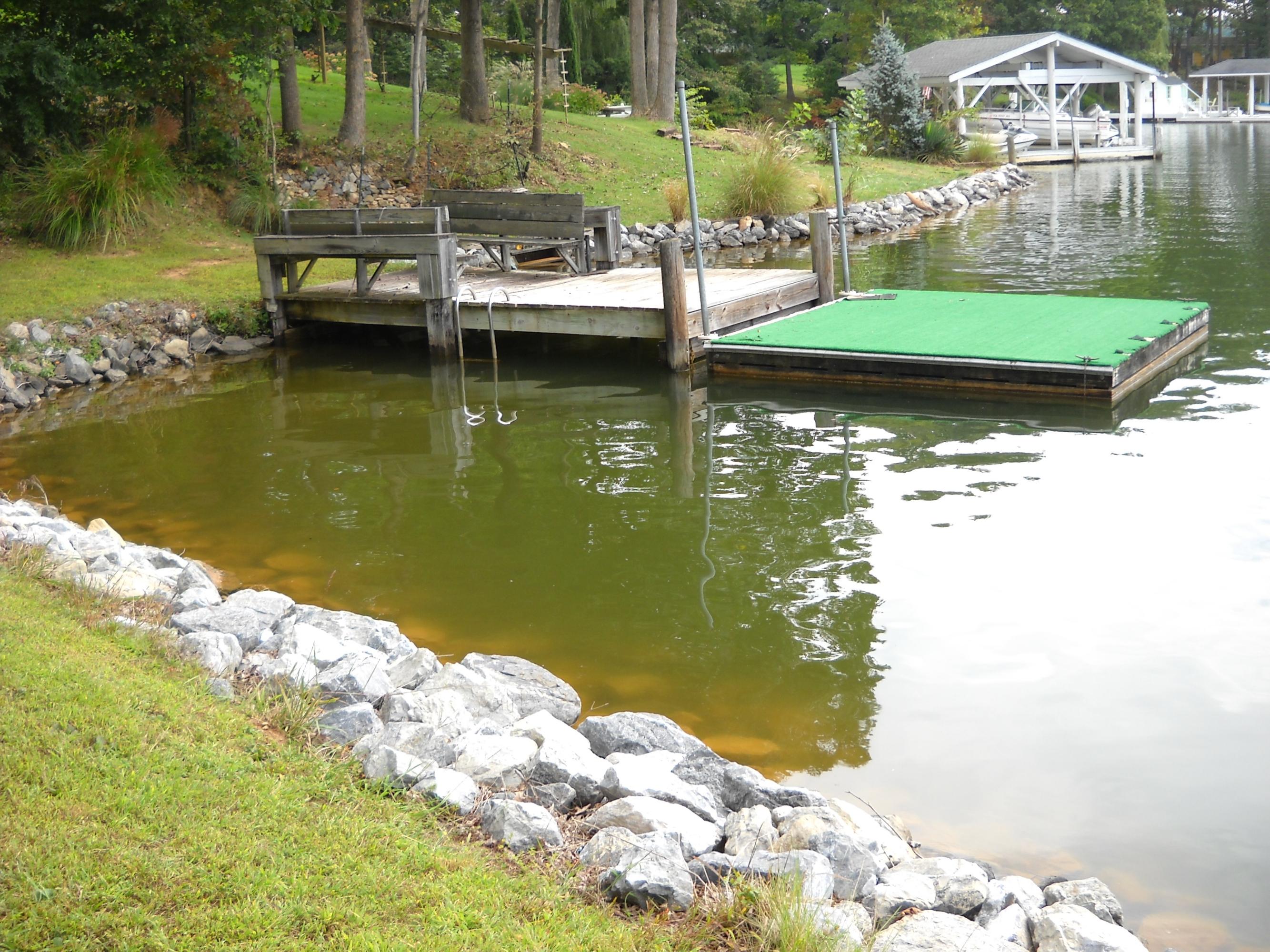 2416 Merriman Way Road Moneta, VA 24121 - Photo 12 of 17 Stationary Dock w/Floater