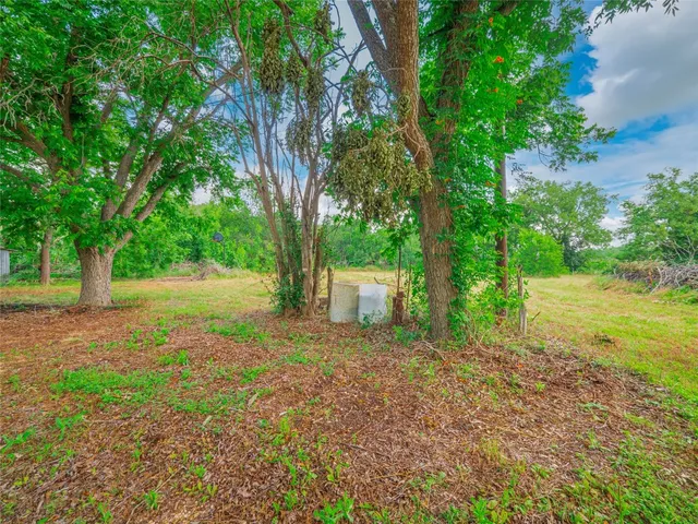 a view of a yard with plants and a large trees