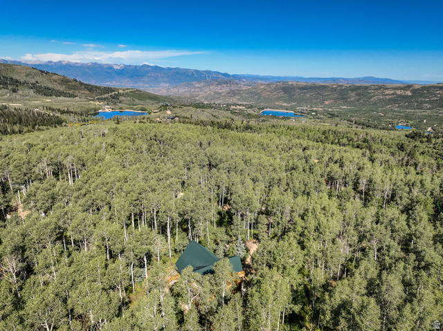 11192 Maple Road, Unit 7 Heber City, UT 84032 - Photo 46 of 51 Extensive treed landscape with a visible green roof, surrounded by mountainous terrain and distant bodies of water