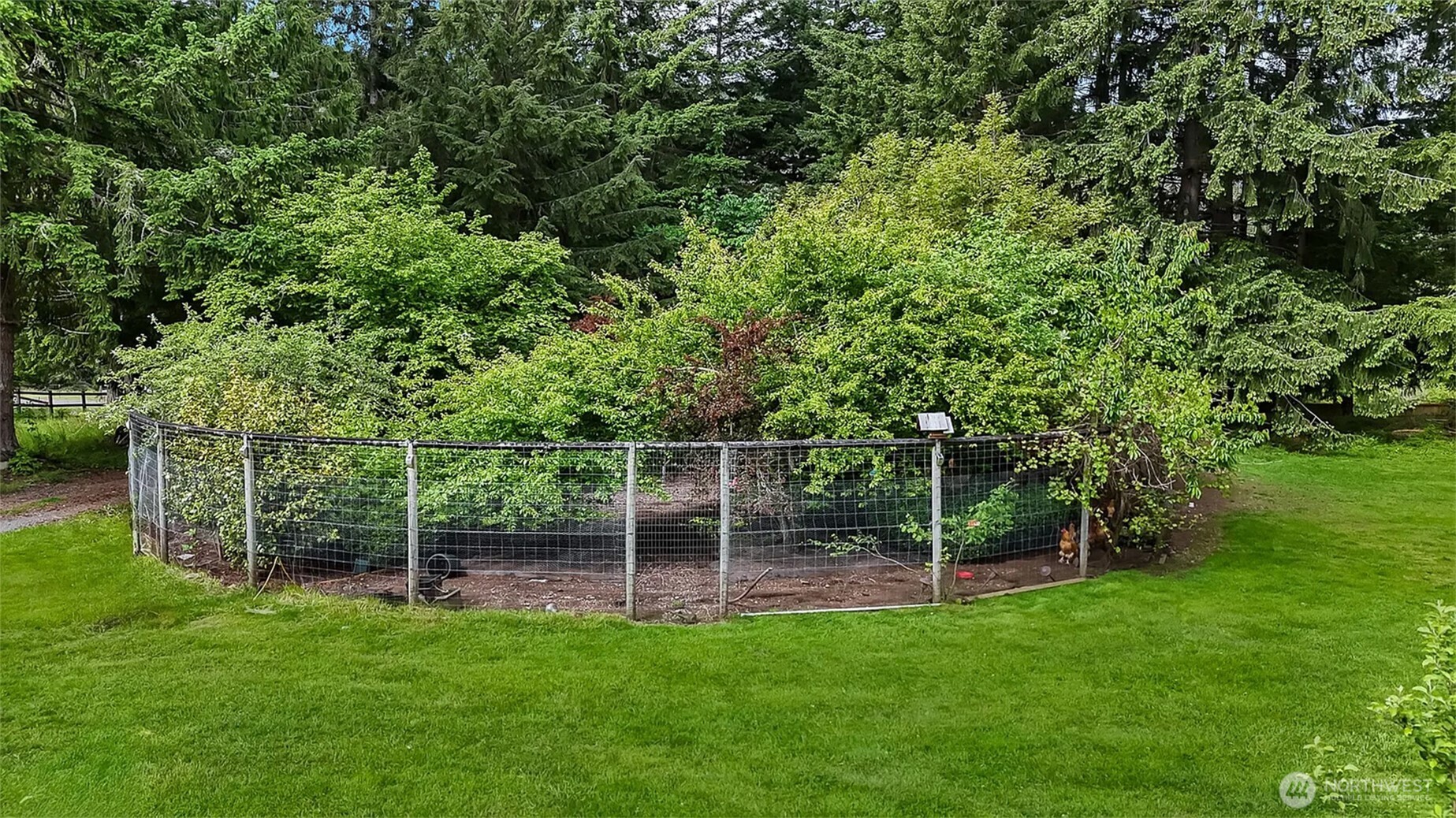 17718 Mulqueen Road Southeast Rainier, WA 98576 - Photo 38 of 40