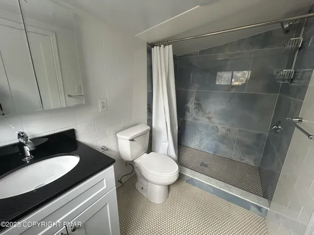 a bathroom with a granite countertop sink toilet and shower