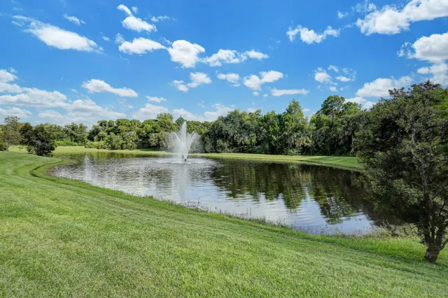 a view of a lake from a yard