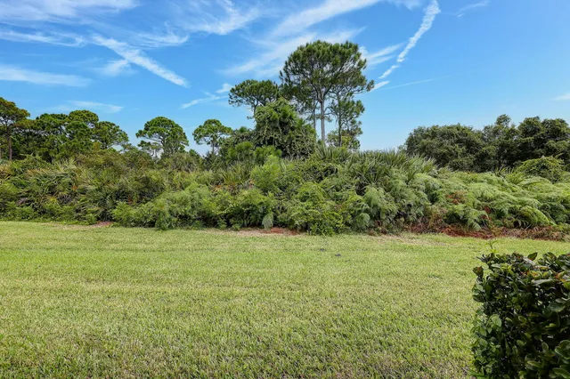 a view of a field with a tree