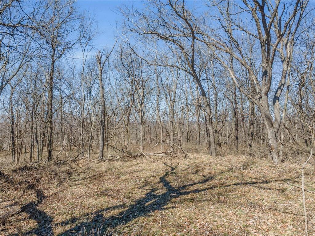 92.56-acres 92.56-acres Garner Road Richmond, MO 64085 - Photo 3 of 8