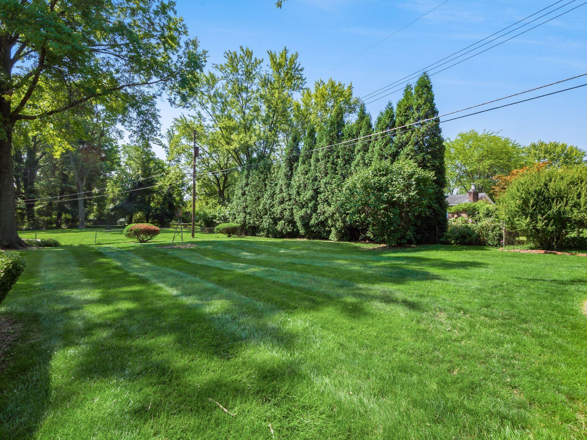 995 Plum Ridge Columbus, OH 43213 - Photo 34 of 41 Tree Line for Privacy