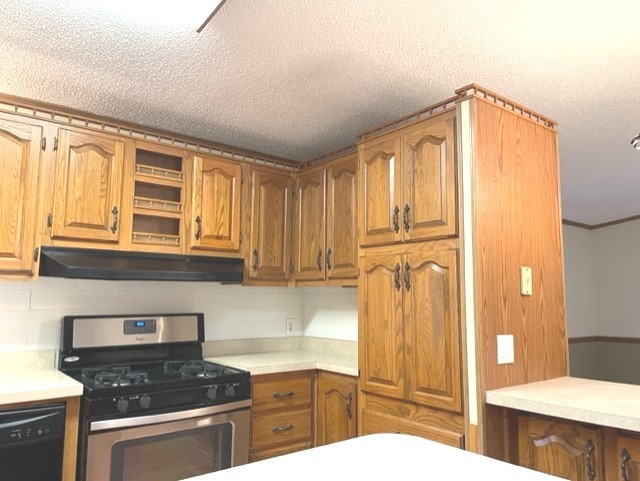 668 Mohawk Trail Marengo, IL 60152 - Photo 12 of 27