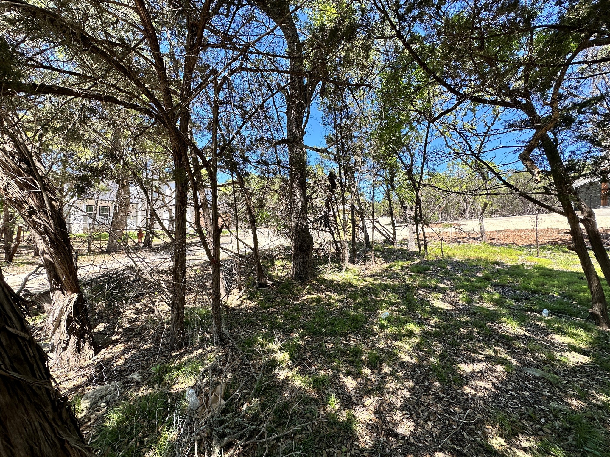 Tbd Mimosa Street Wimberley, TX 78676 - Photo 4 of 7