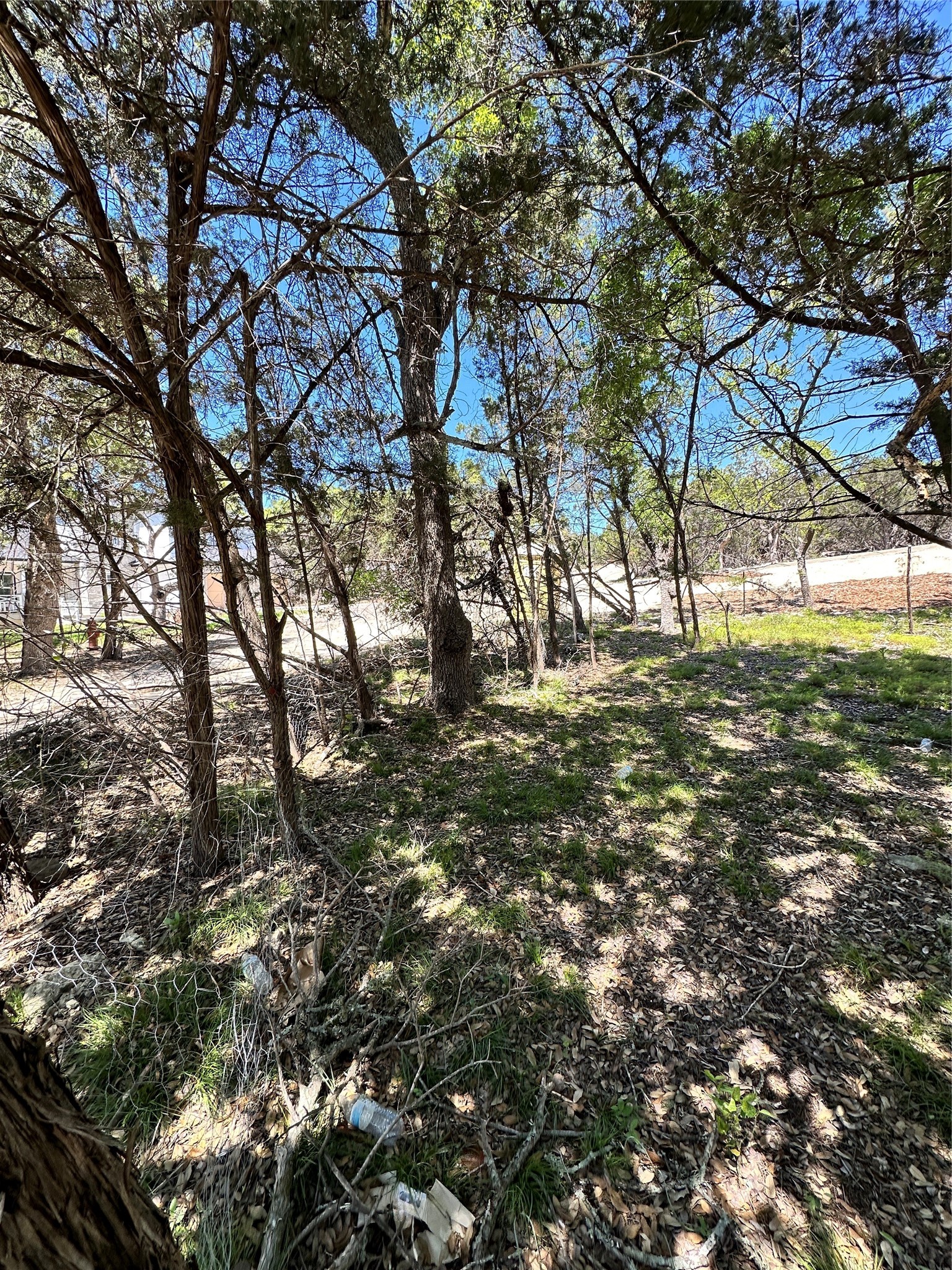 Tbd Mimosa Street Wimberley, TX 78676 - Photo 5 of 7 a view of a yard with a tree
