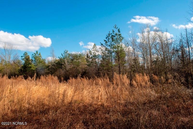 0 Allie Mae Road Cedar Grove, NC 27231 - Photo 7 of 24 8