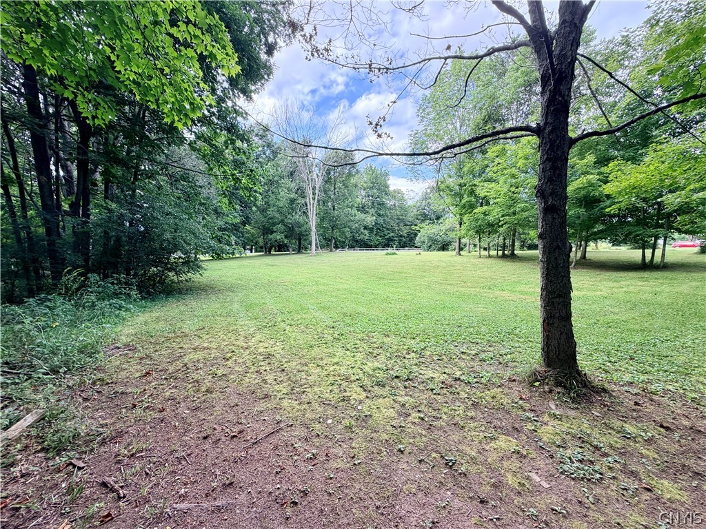 179 Co Rt Chaumont, NY 13622 - Photo 6 of 9 Gallery Image 6