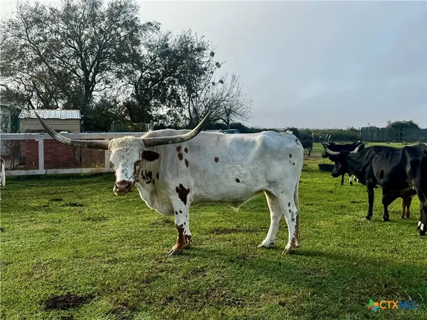 $410,000 | 13340 Highway 172, La Ward, TX 77970