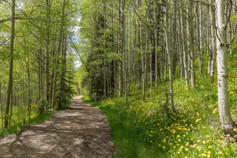 $295,000 | 5 North Delores River Trail, Rico, CO 81332