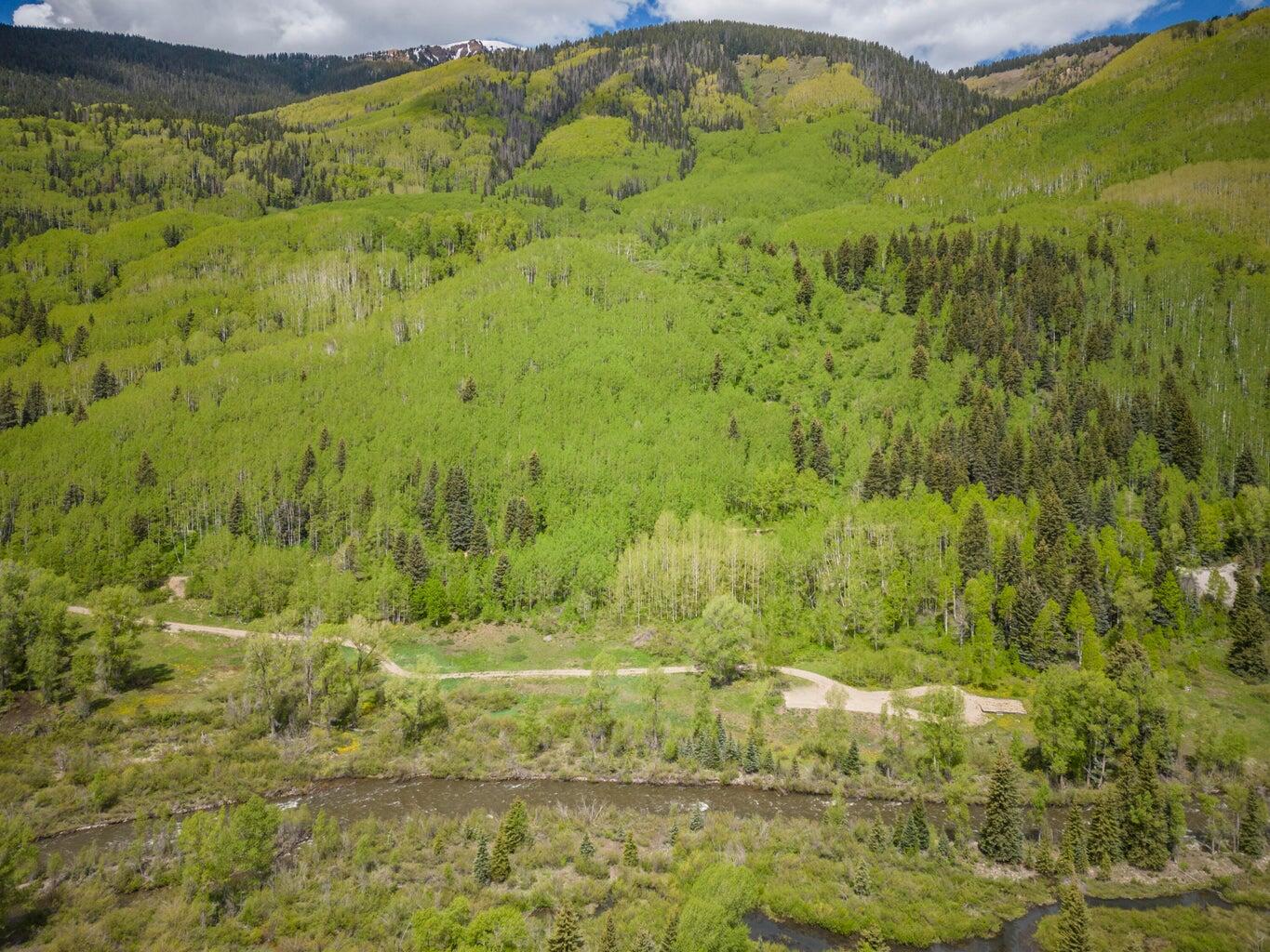 5 North Delores River Trail Rico, CO 81332 - Photo 4 of 6 a view of a garden