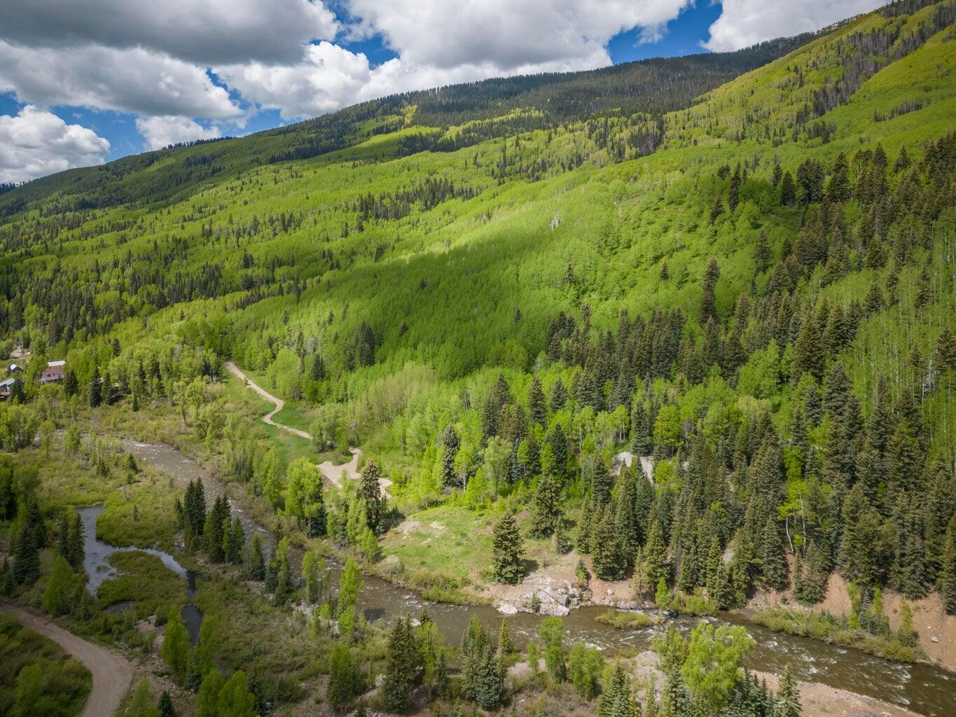 5 North Delores River Trail Rico, CO 81332 - Photo 5 of 6 a view of a yard