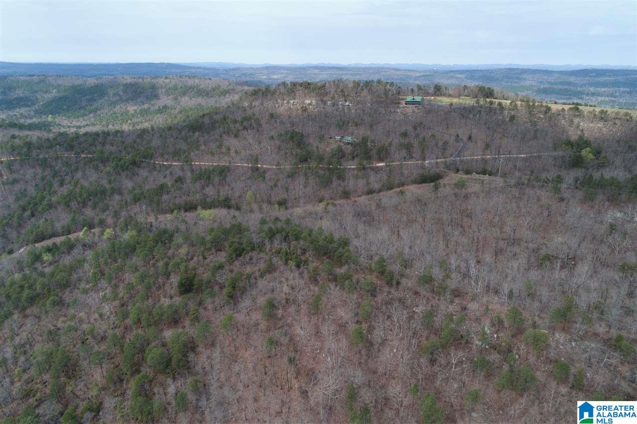 1234 High Road, Unit 1 Columbiana, AL 35051 - Photo 18 of 38