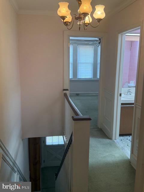 6315 Mershon Street Philadelphia, PA 19149 - Photo 11 of 19