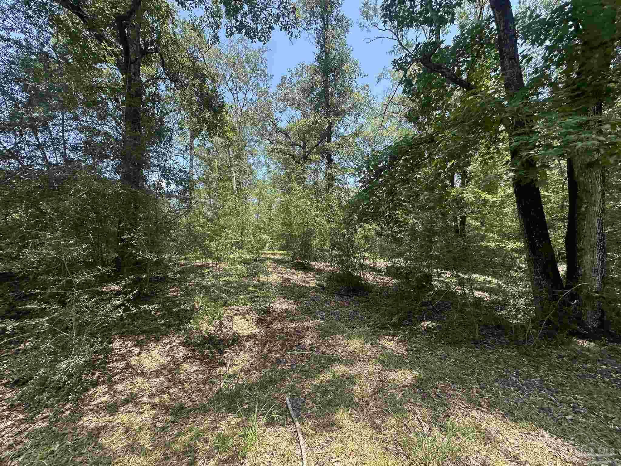 1-2 Bullard Road Milton, FL 32570 - Photo 16 of 26 Gallery Image 16
