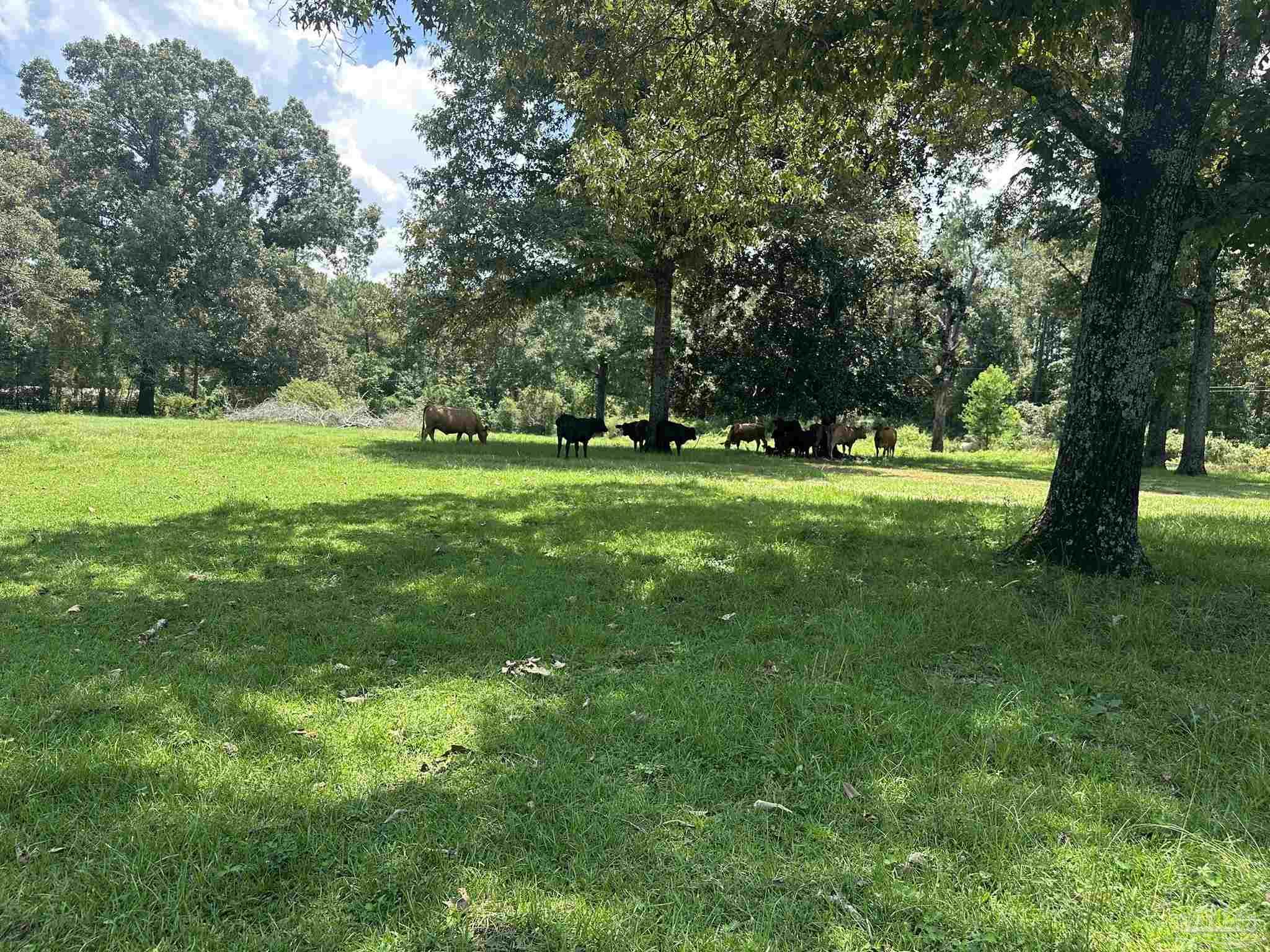 1-2 Bullard Road Milton, FL 32570 - Photo 19 of 26 Gallery Image 19