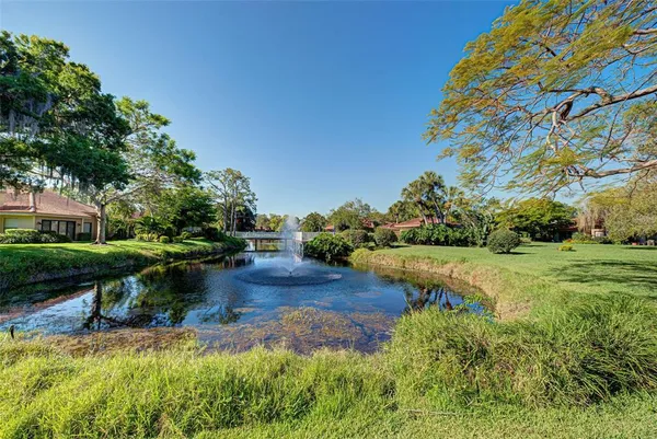 a view of a garden with plants and large trees