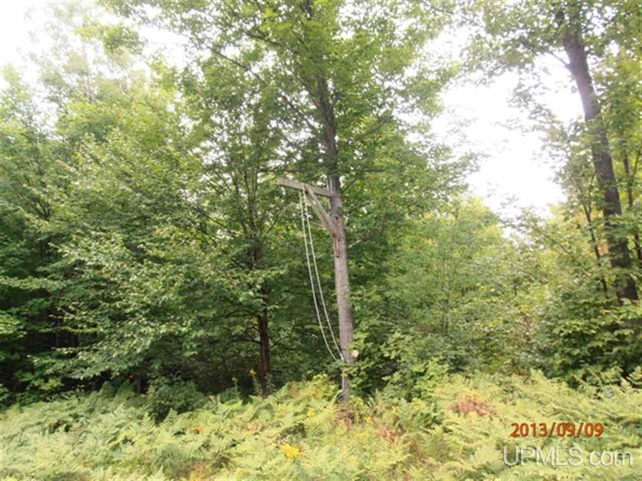 Tbd 38th N Rock Road Rock, MI 49880 - Photo 9 of 13