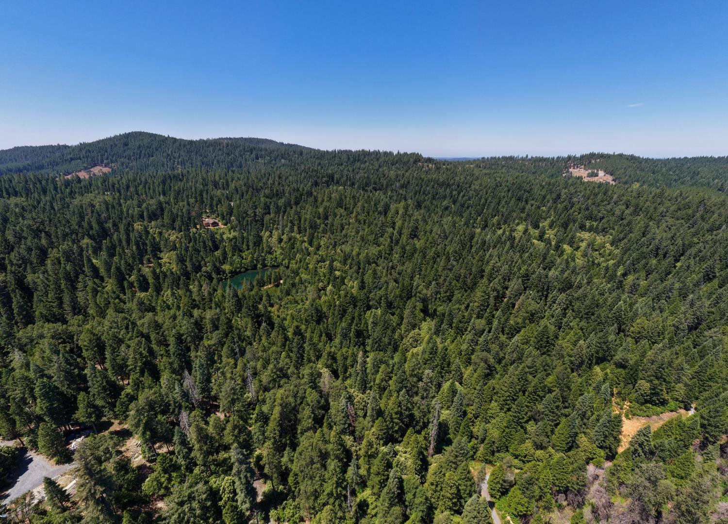 10075 White Fir Road Georgetown, CA 95634 - Photo 33 of 35