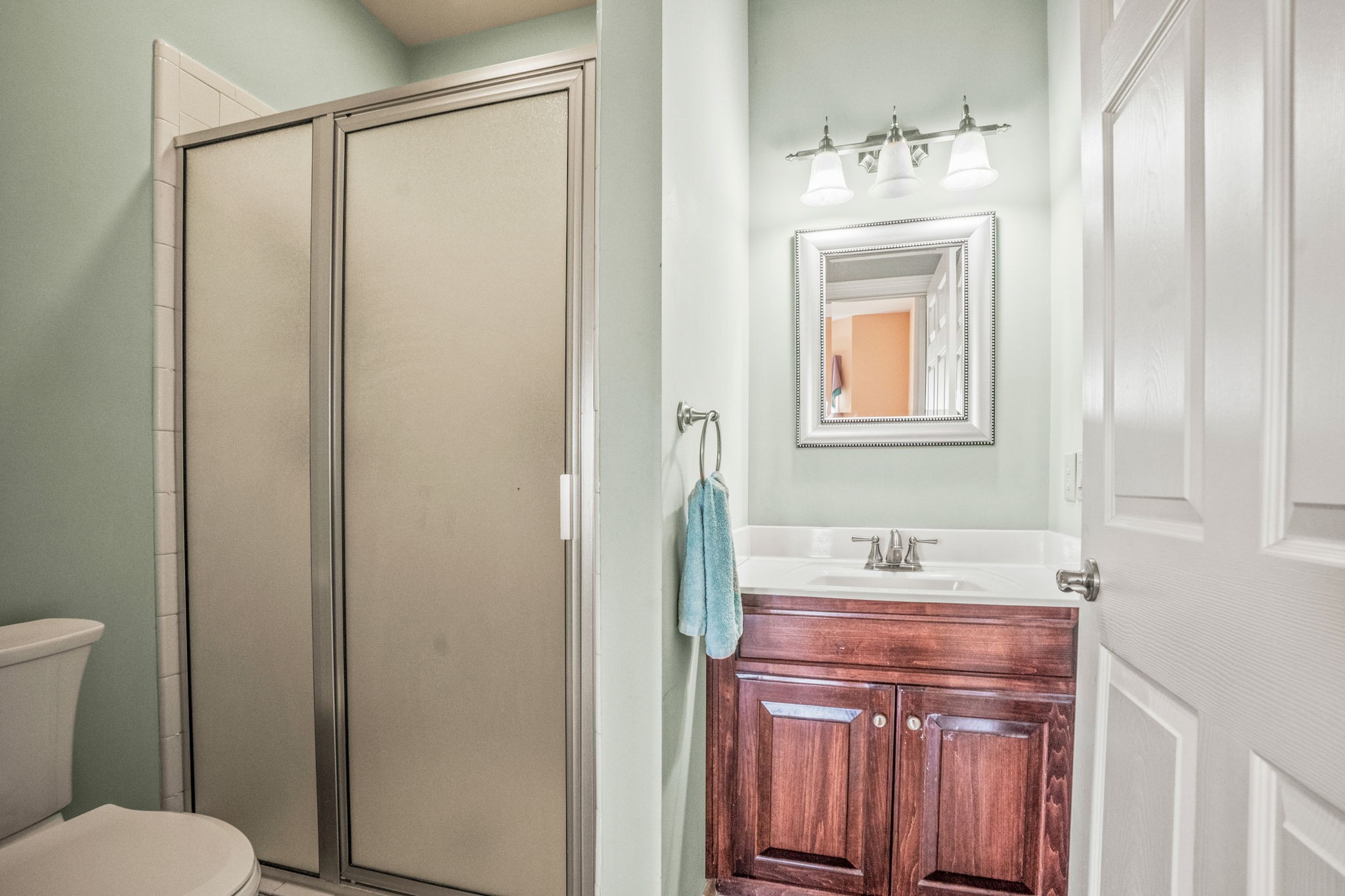 4313 South Garrett Road Springfield, TN 37172 - Photo 14 of 69 a bathroom with a sink a toilet and mirror