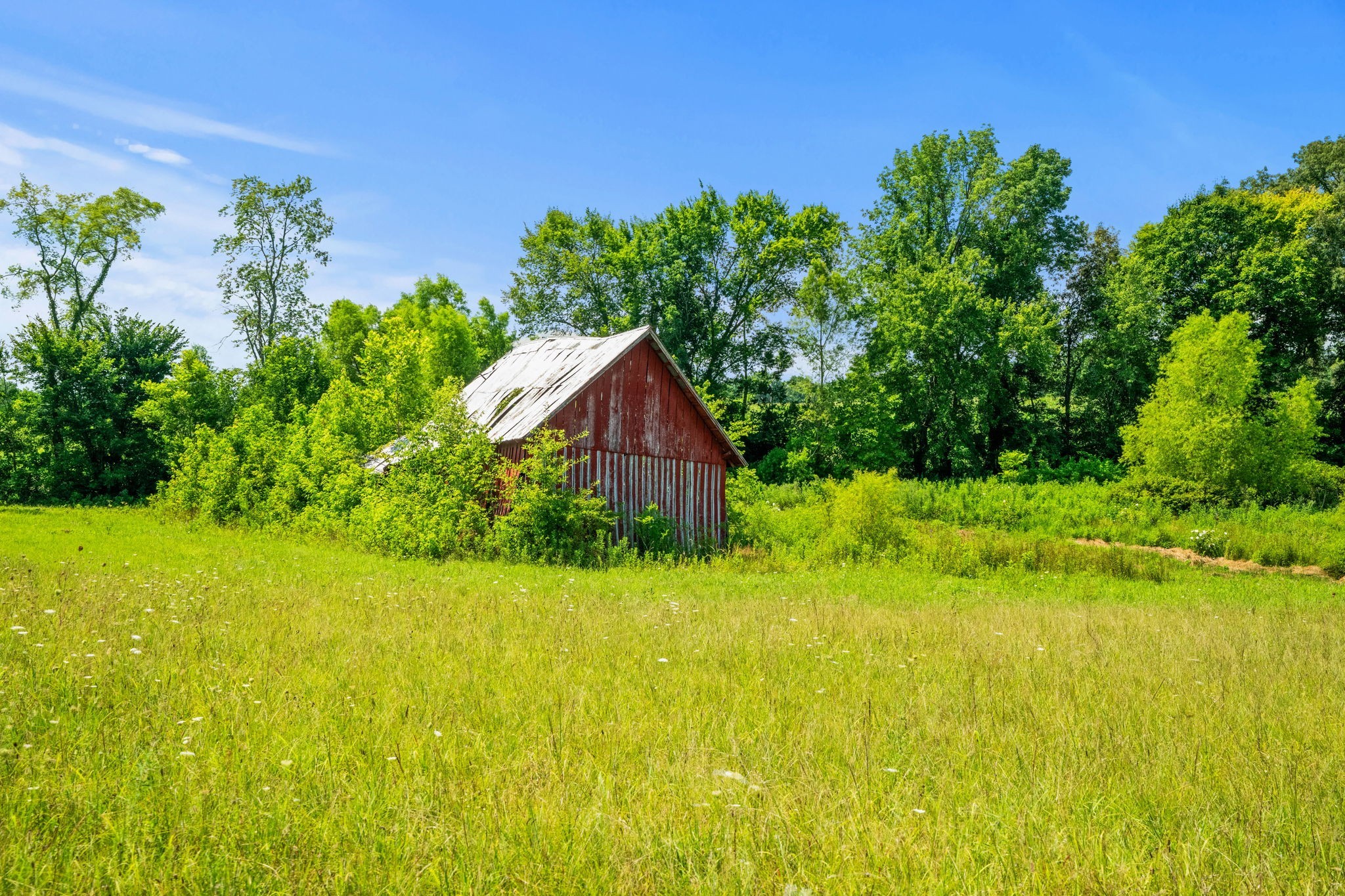 4313 South Garrett Road Springfield, TN 37172 - Photo 61 of 69 a backyard of a house with lots of green space and plants